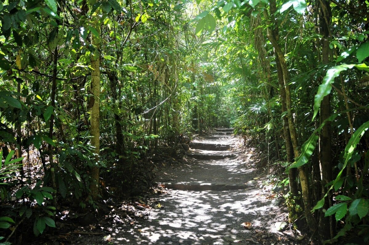 Tunnel of Love at Paronella Park