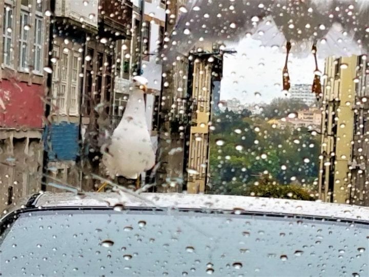 Porto Portugal, Rain, and a Travel Umbrella