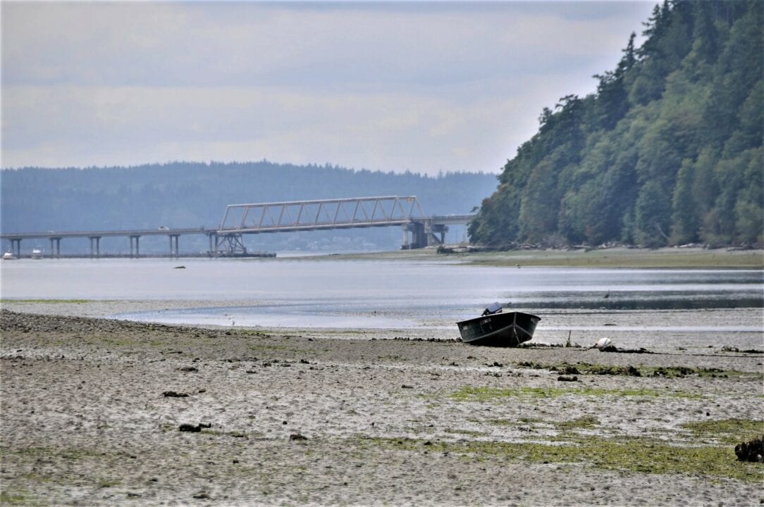 The Perfect Day Trip Clamming at Hood Canal, WA by Helicopter