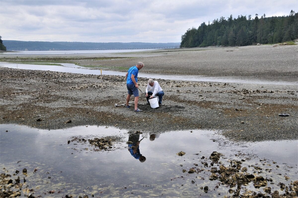 The Perfect Day Trip: Clamming in Hood Canal, WA by Helicopter