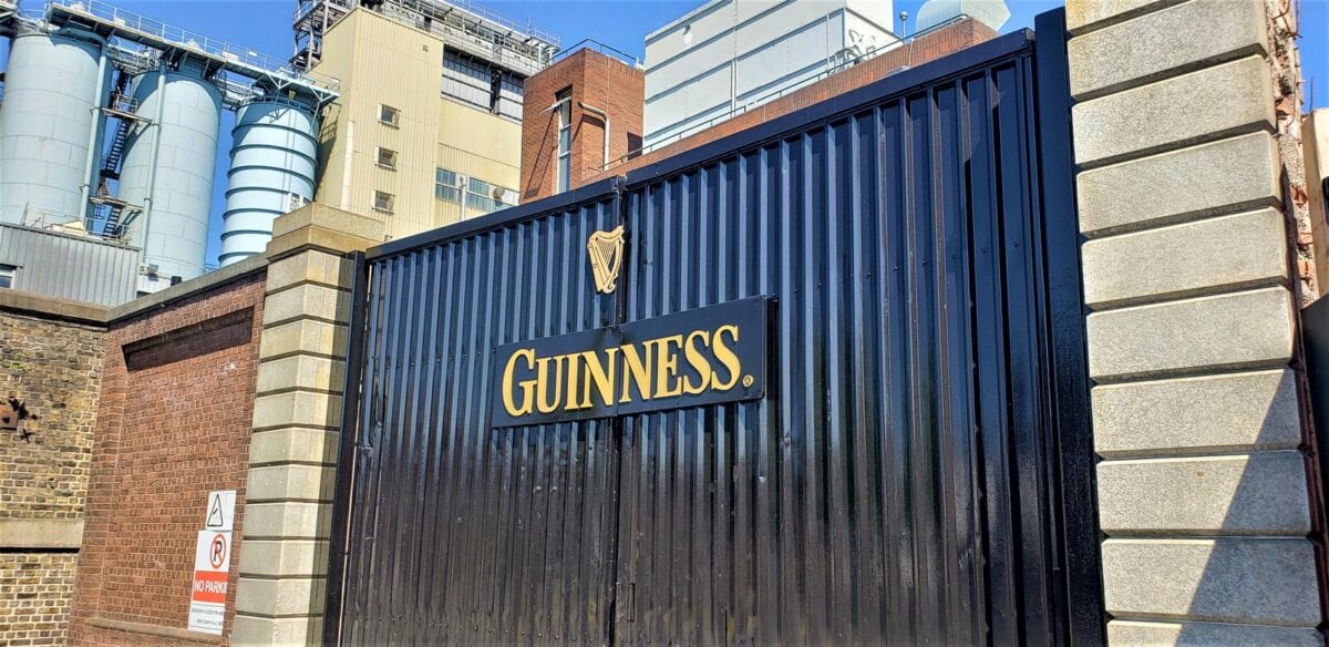 guinness beer